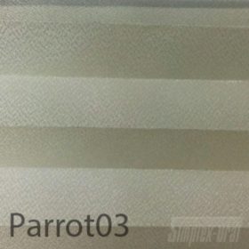 Parrot03-100