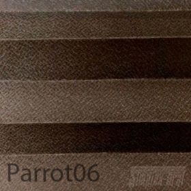 parrot06-100