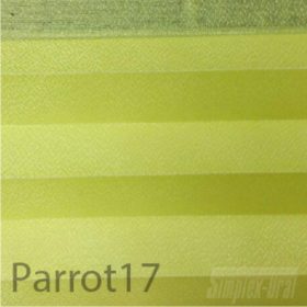 Parrot17-100